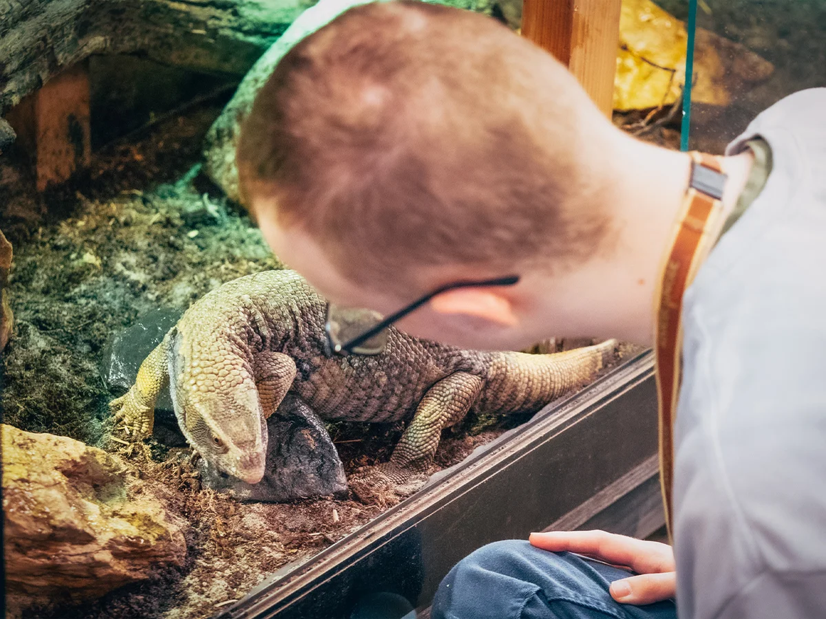 Dagbesteding | Almere Jungle