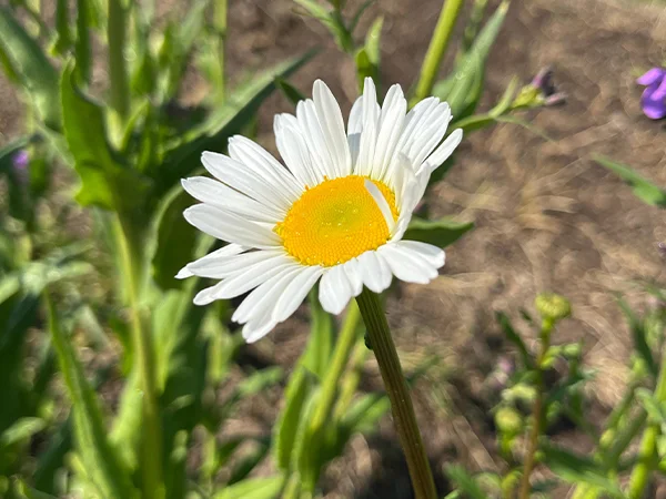Margriet | Almere Jungle