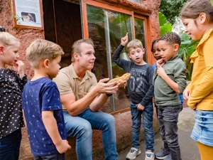 homeheader6-almerejungle