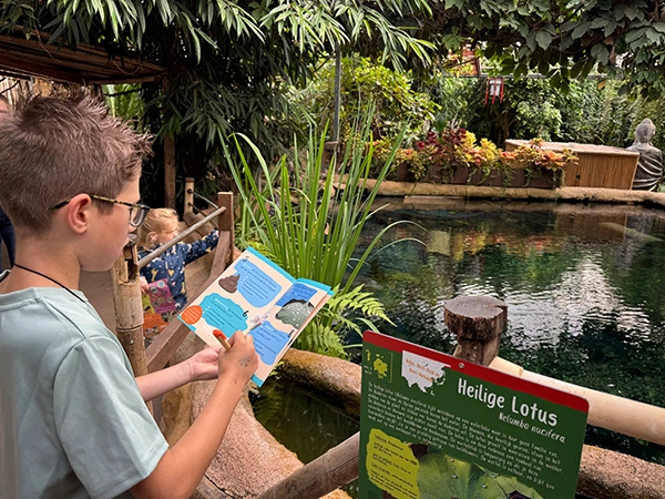 Ontdek meer... | Almere Jungle