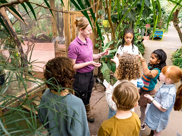 Schoolreis | Almere Jungle