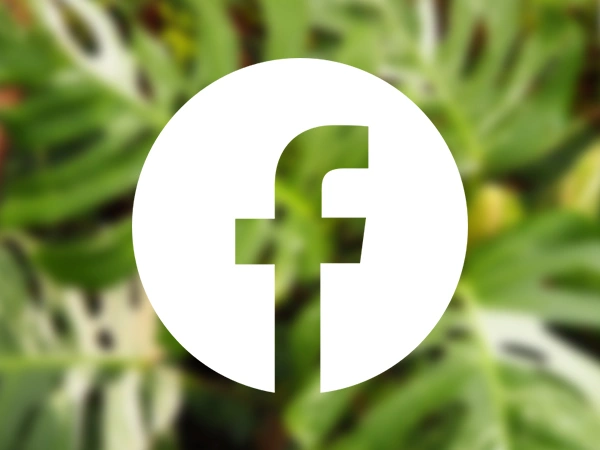 Facebook | Almere Jungle