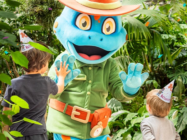 Jubileumfestival | Almere Jungle