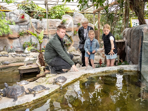 Miljoenste bezoeker | Almere Jungle