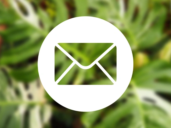 Nieuwsbrief | Almere Jungle