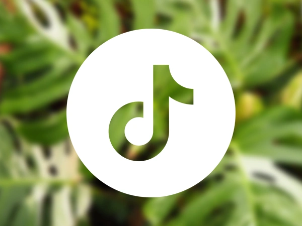 TikTok | Almere Jungle