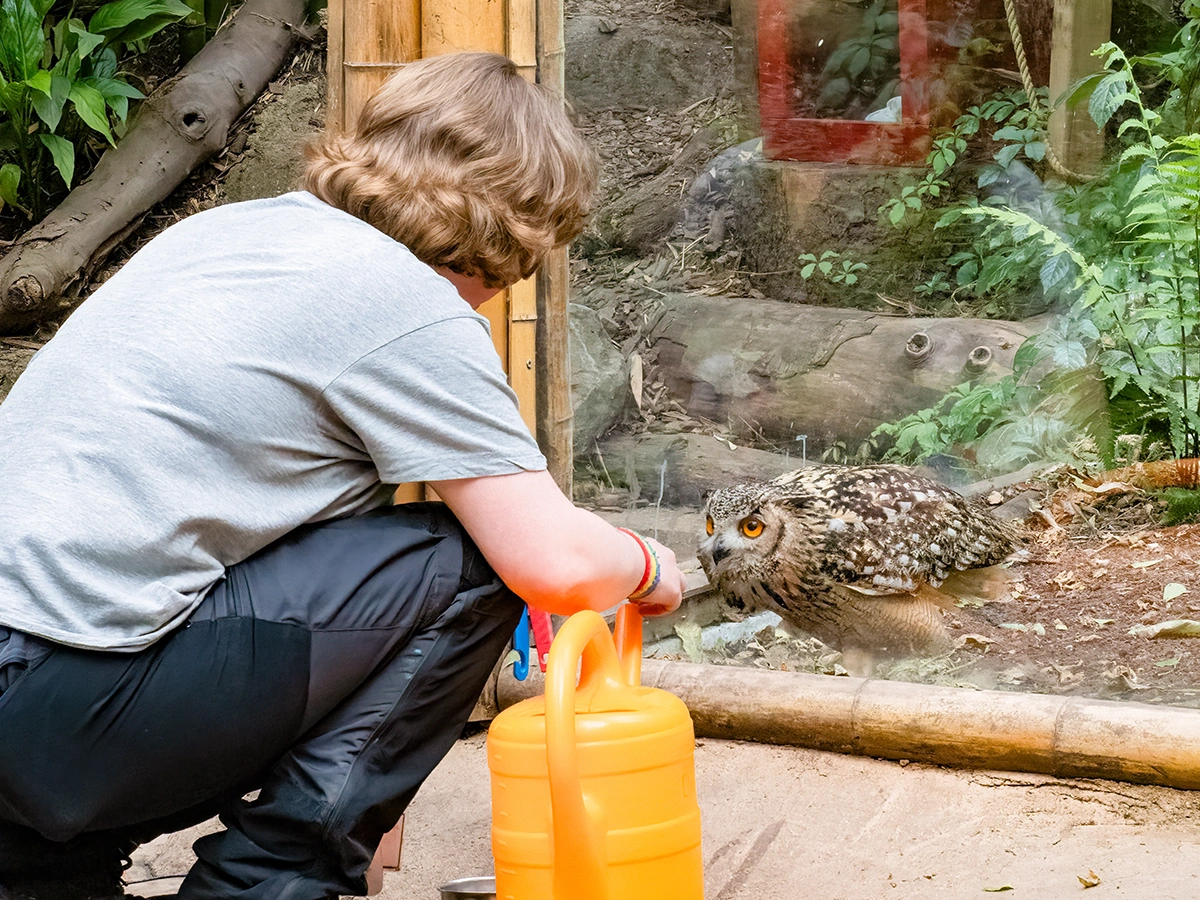 Dagbesteding | Almere Jungle