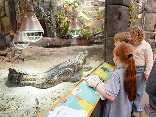 Bassisschool op schoolreis | Almere Jungle