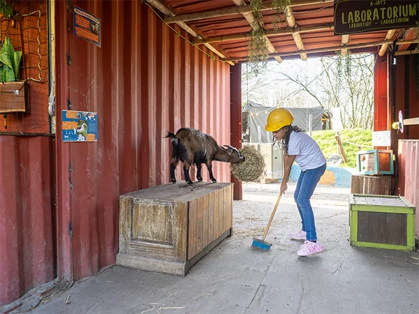 Bassisschool op schoolreis | Almere Jungle