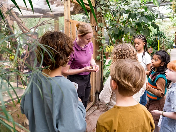 Schoolreis kinderen krijgen rondleiding dierentuin | Almere Jungle