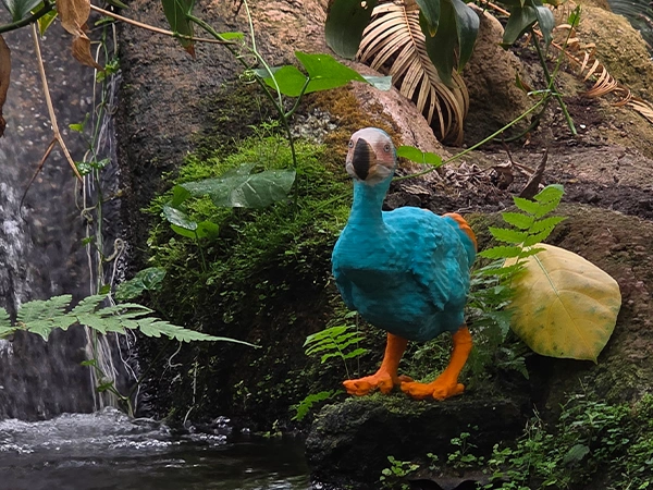 Dodo | Almere Jungle
