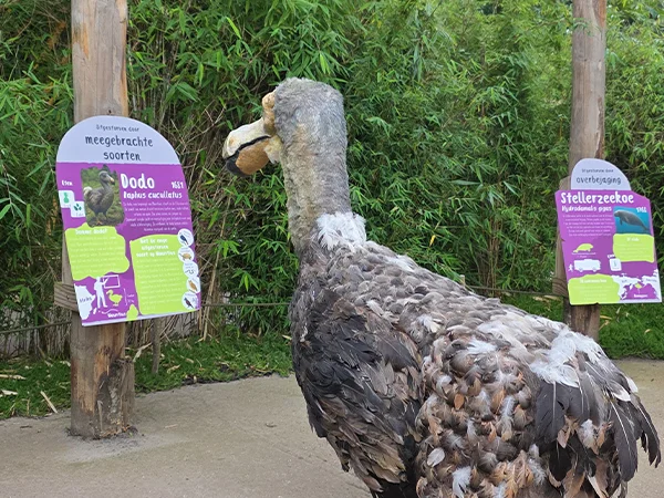 Dodo | Almere Jungle