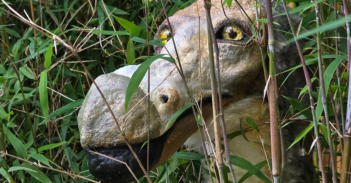 Dodo-maand | Almere Jungle